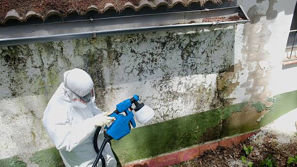 Clearance testing in Salisbury